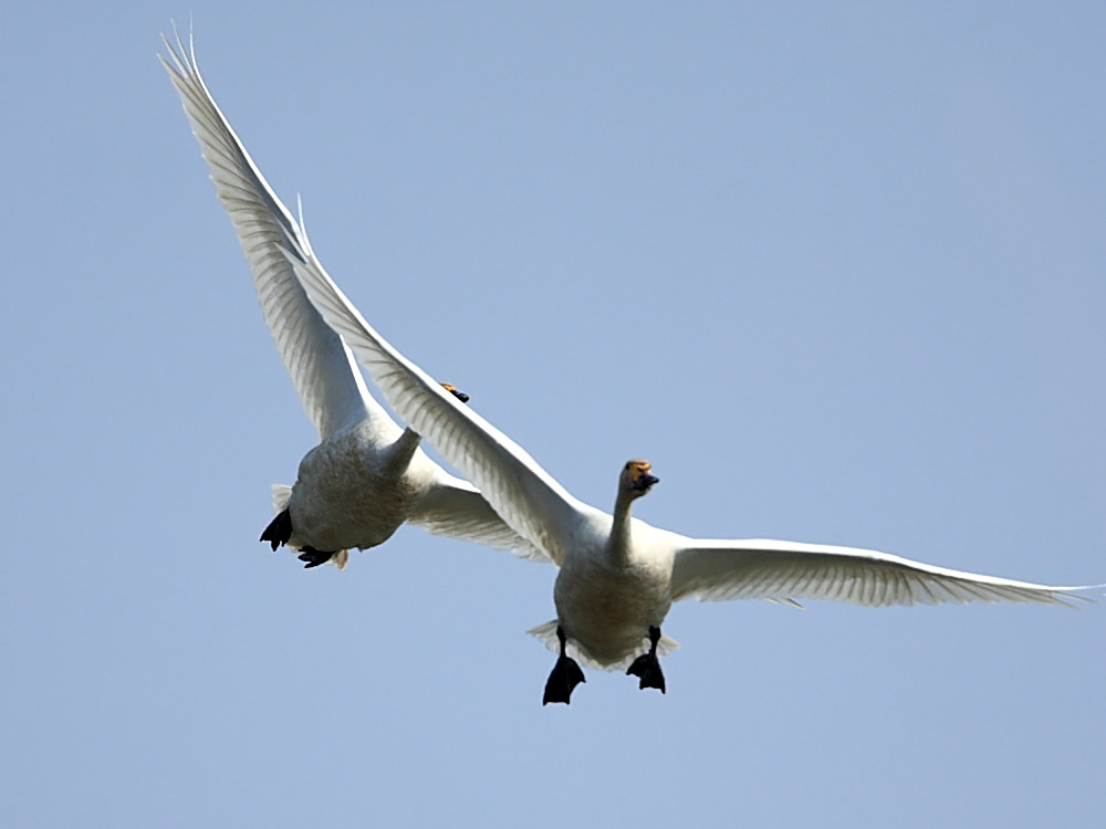 DPP_0848_1.jpg