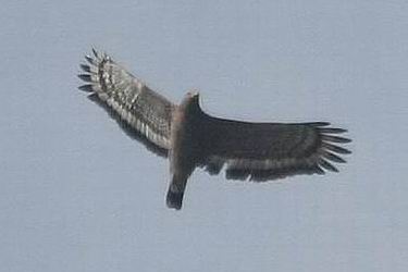 IMG_5841.jpg
