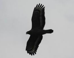 IMG_5898.jpg