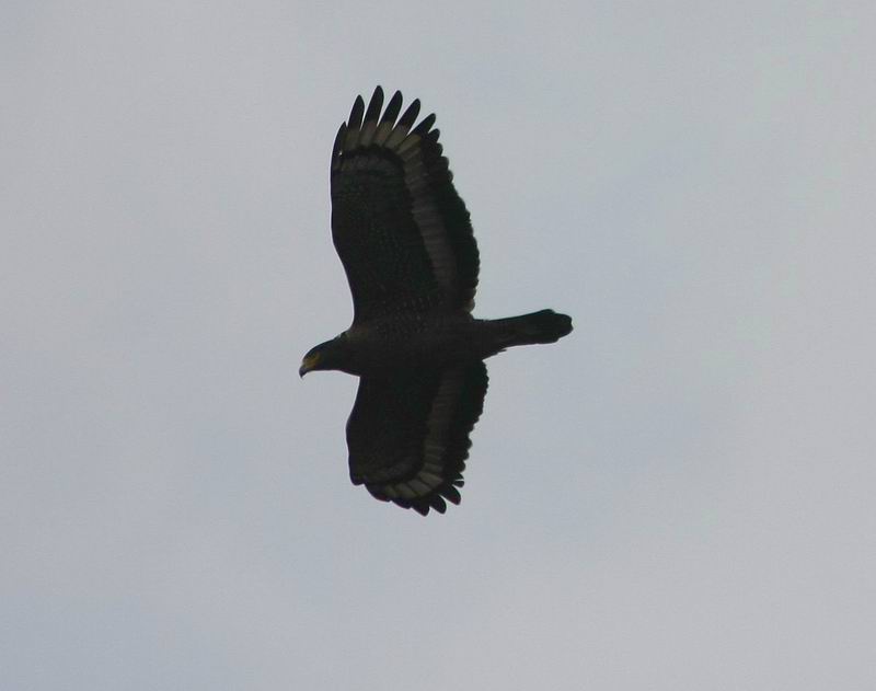 IMG_5899.jpg