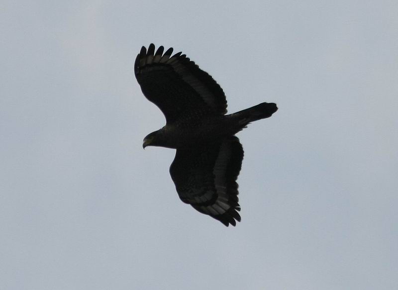 IMG_5900.jpg