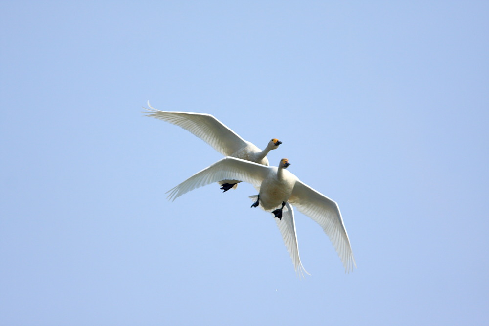 DPP_0906.JPG