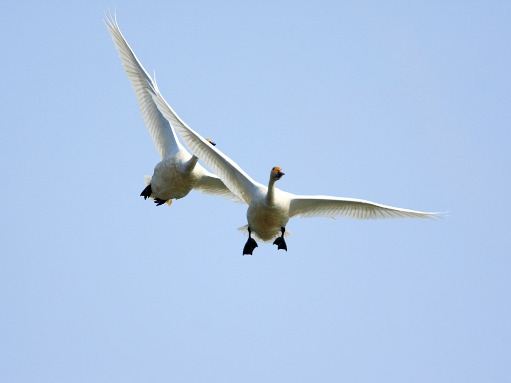 DPP_0904.JPG