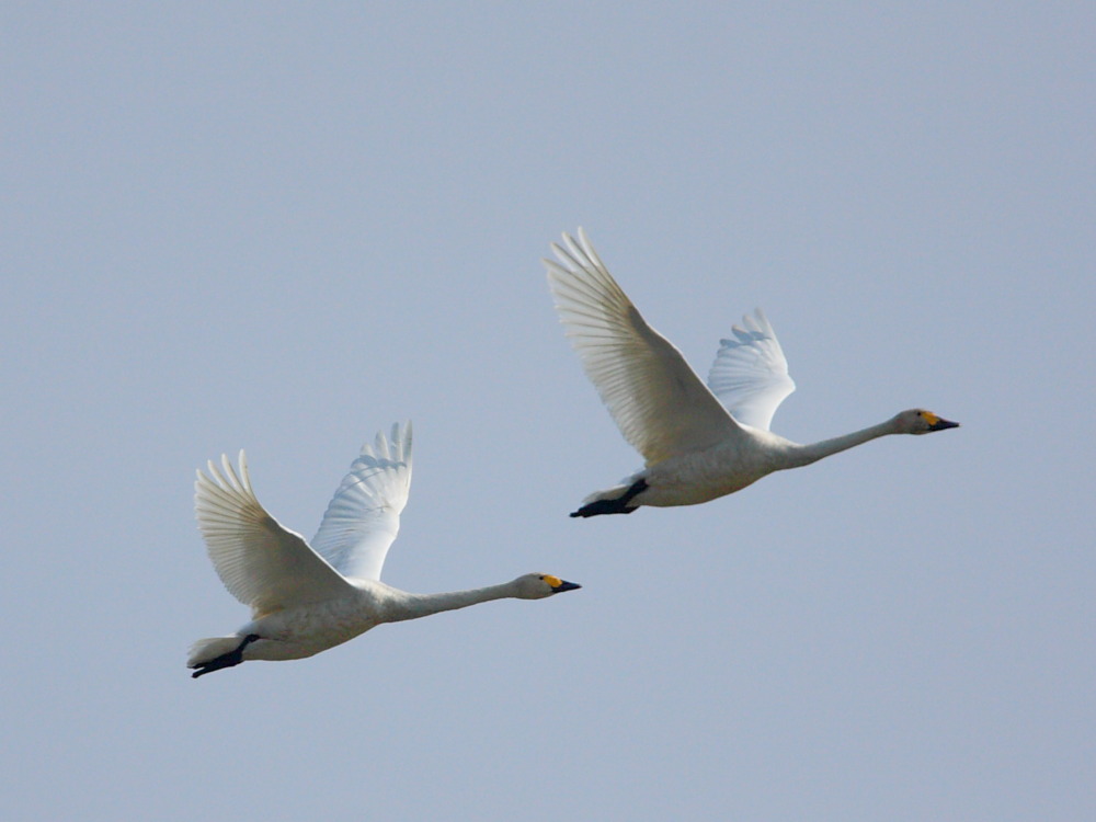 DPP_0905.JPG