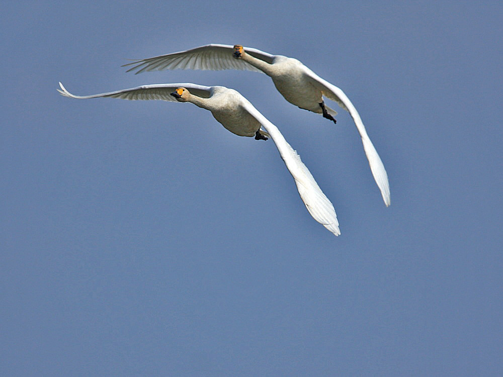 DPP_0922-1.jpg