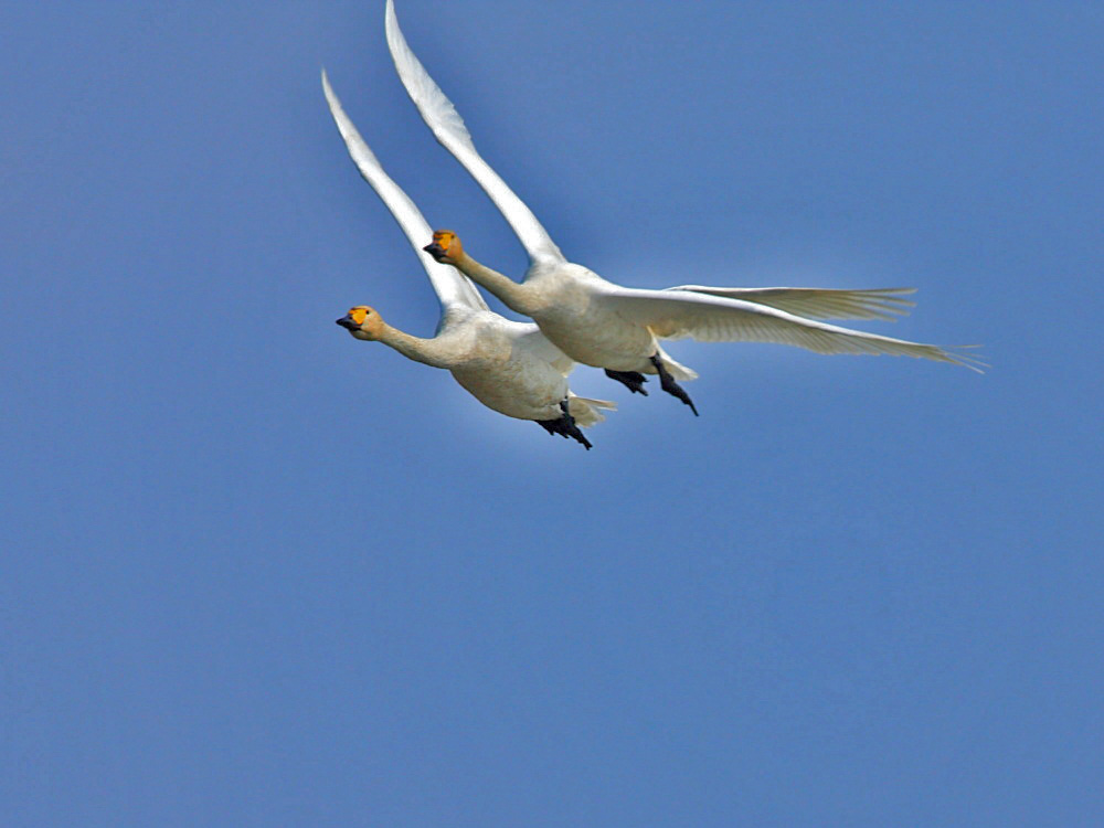 DPP_0902-2.jpg