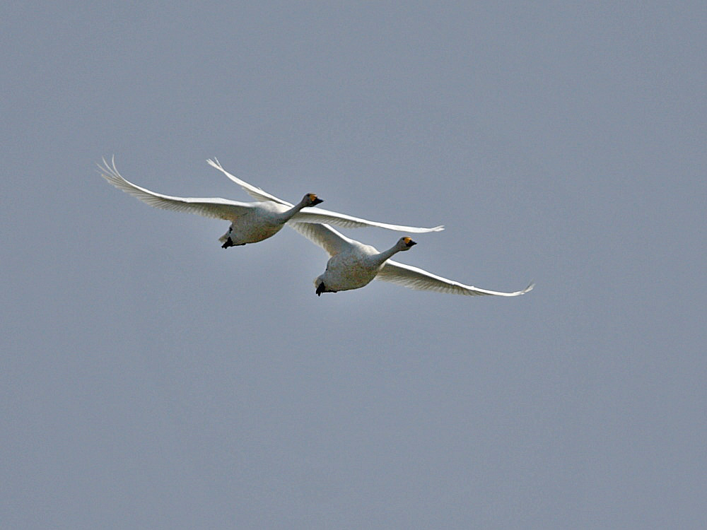 DPP_0843-1.jpg