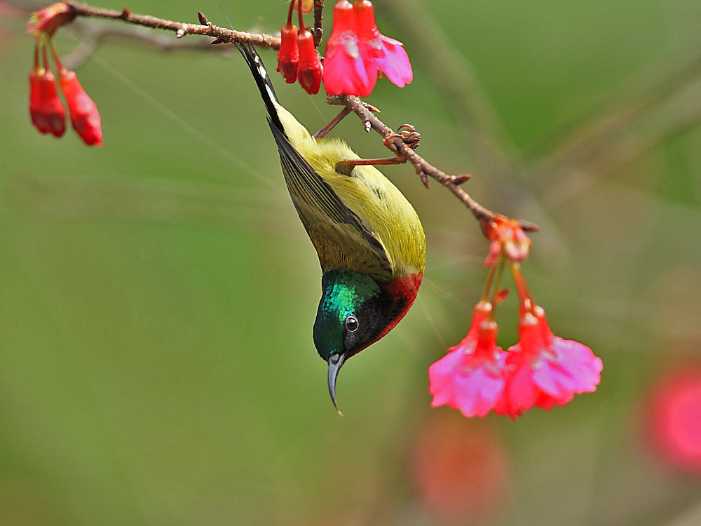DPP_0412-1.jpg
