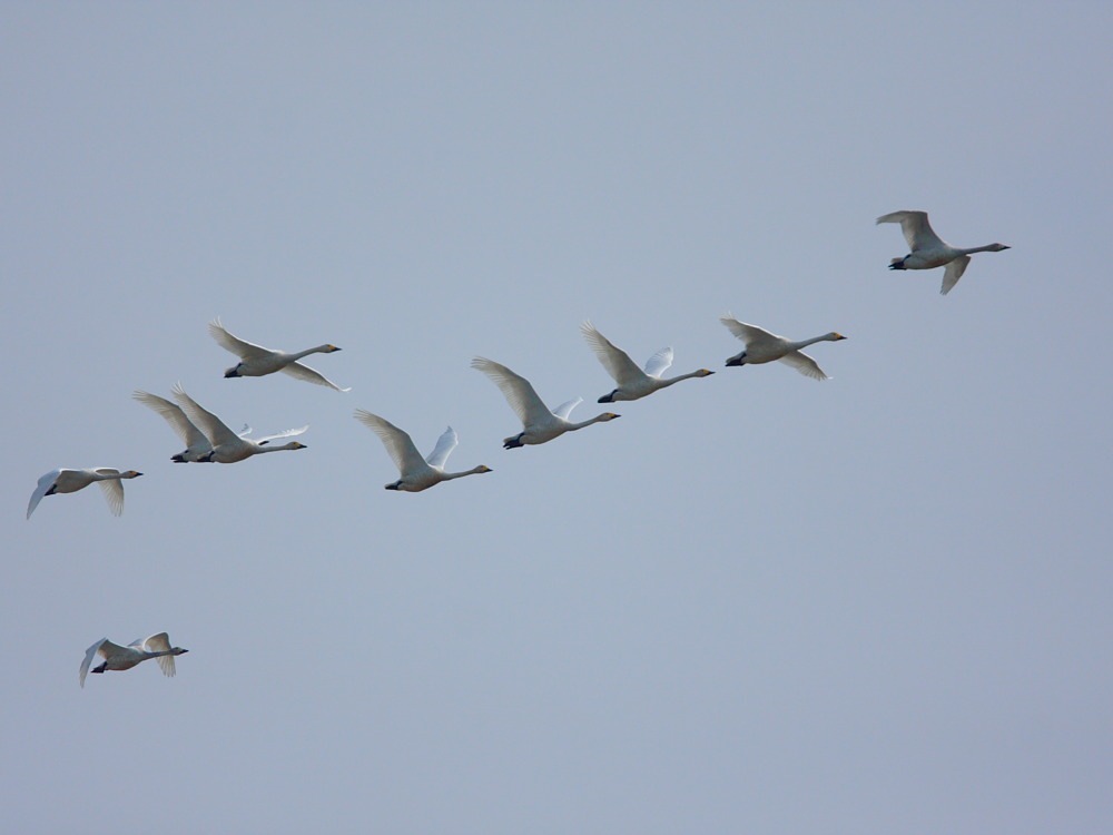 DPP_0908.JPG