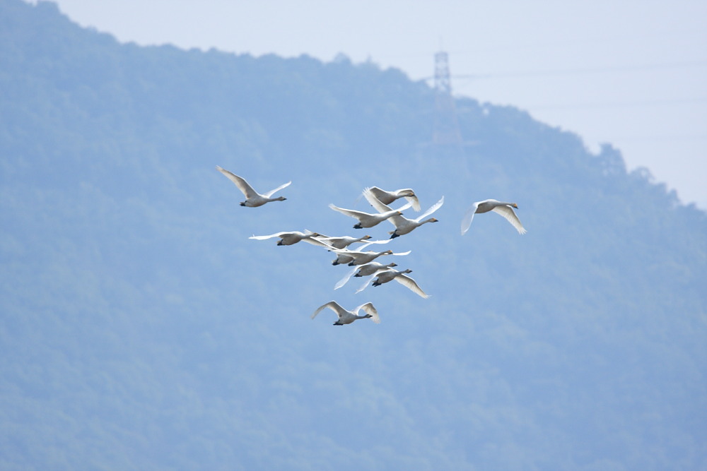 DPP_0909.JPG