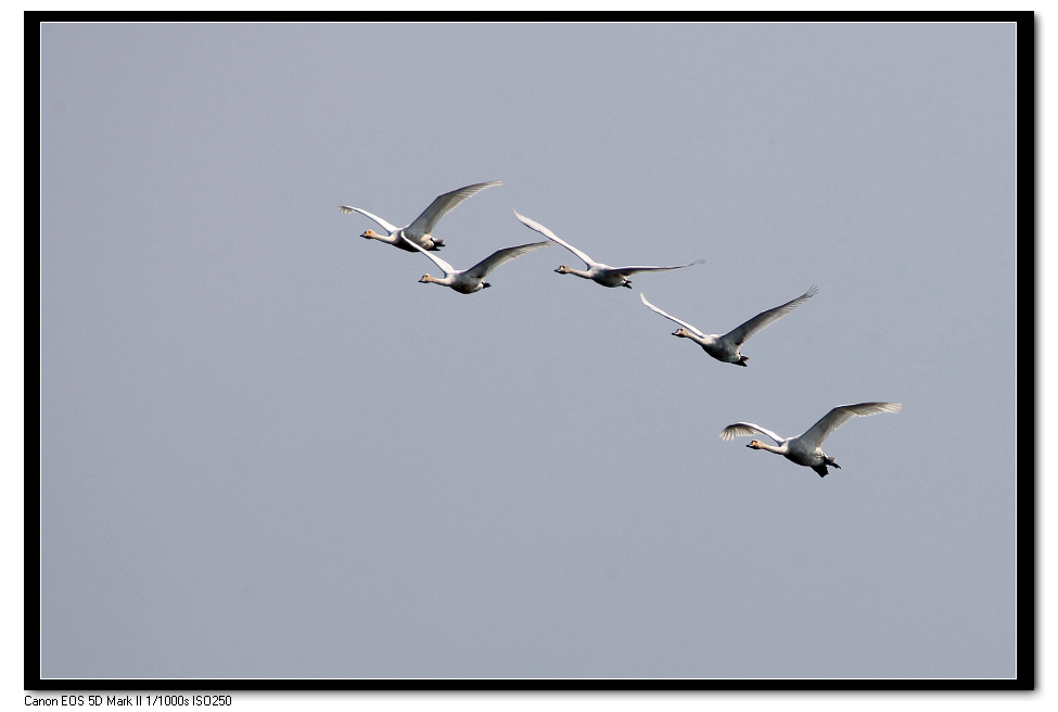 IMG_1866.jpg