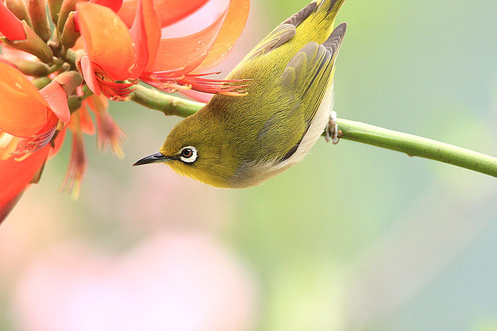 DPP_0966-2.jpg