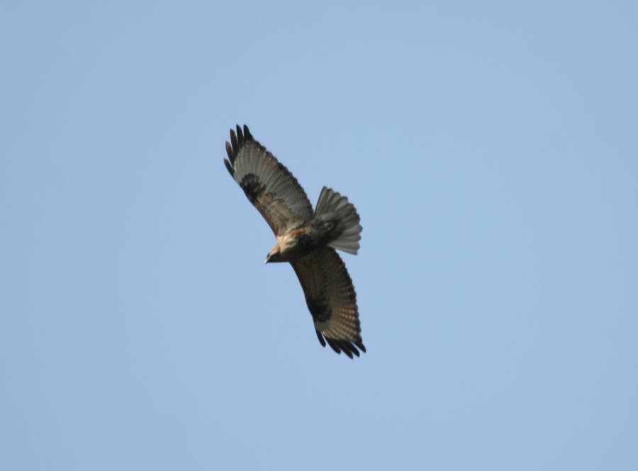 IMG_7114.jpg
