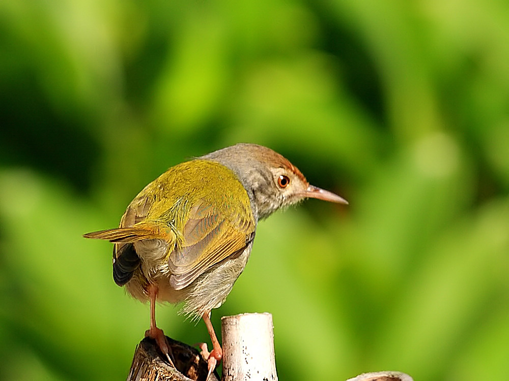 DPP_0997-3.jpg