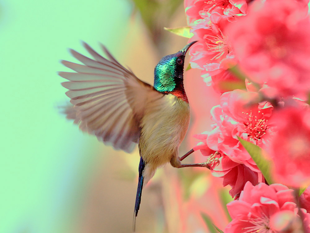 DPP_1062-1.jpg