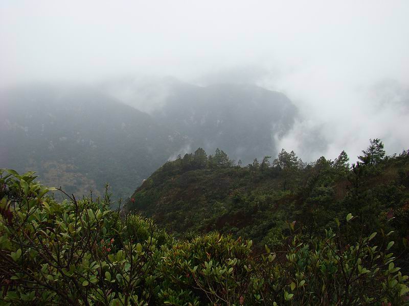 DSC05498.jpg