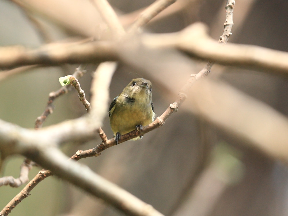 DPP_1116.JPG