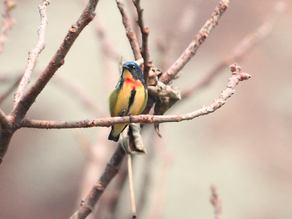 DPP_1117-1.jpg