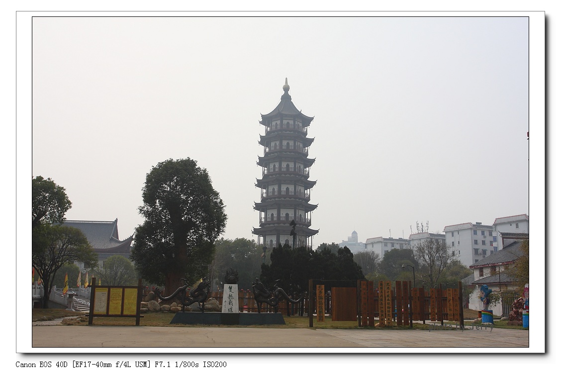 IMG_0857.jpg