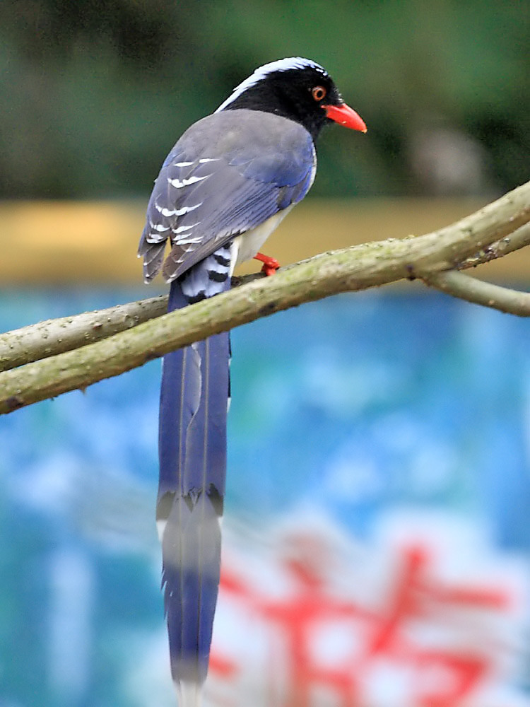 DPP_1108-3.jpg