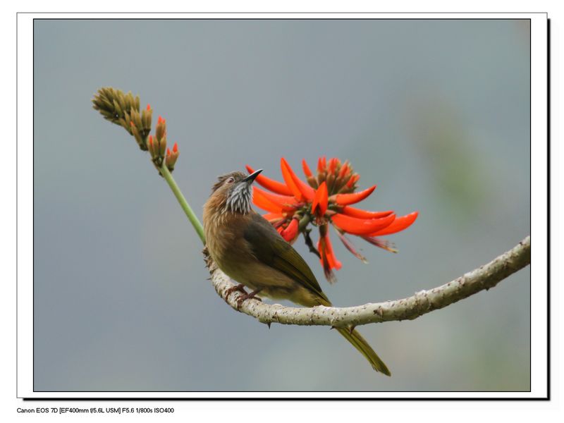 IMG_9601-1.jpg