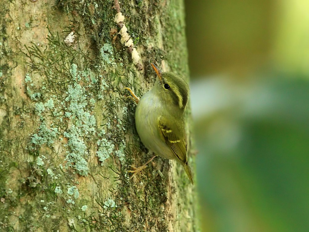 DPP_1169-2.jpg