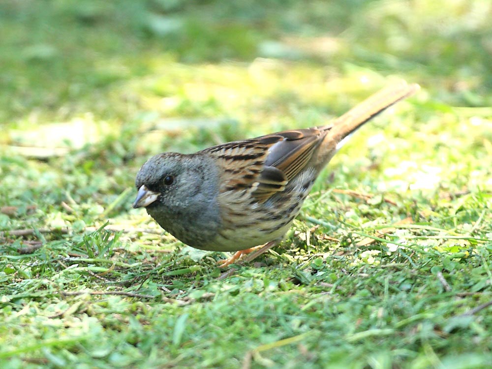 DPP_1182-1.jpg
