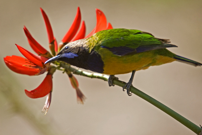 BȸҶ4700.jpg