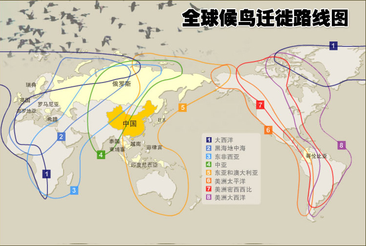 ȫǨ·ͼ(ͼ).jpg