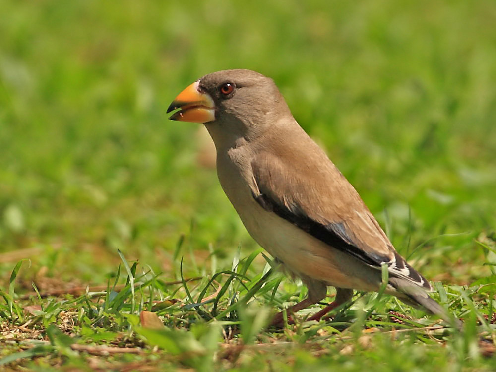 DPP_1443-2.jpg