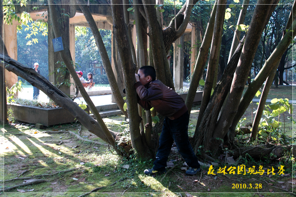 DSC_0004PSDX.jpg