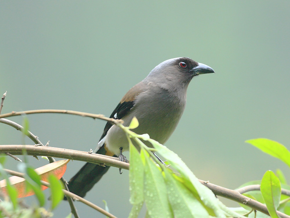 DPP_1654-2.jpg