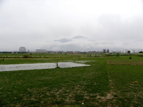 04.jpg
