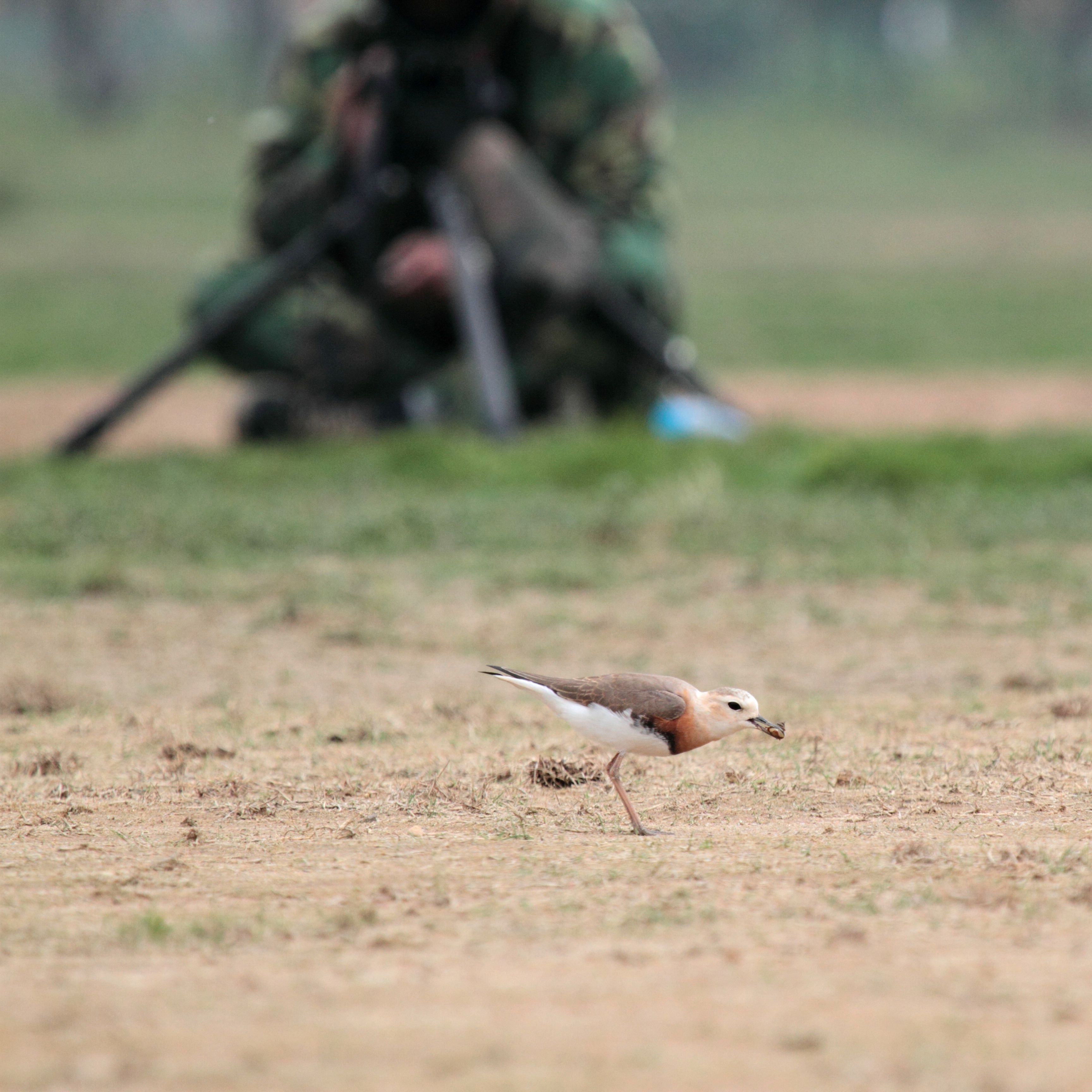 _MG_4350.jpg