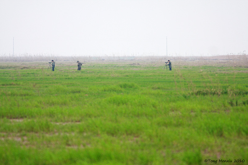 _MG_5545.JPG