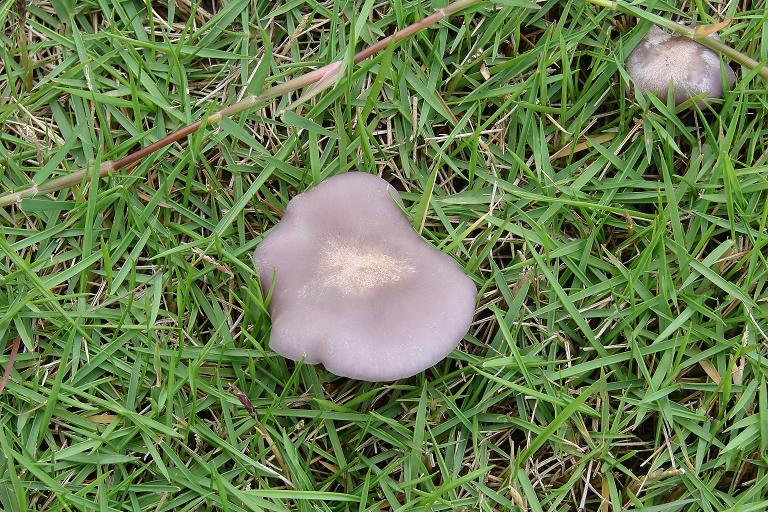 DSC02310.JPG