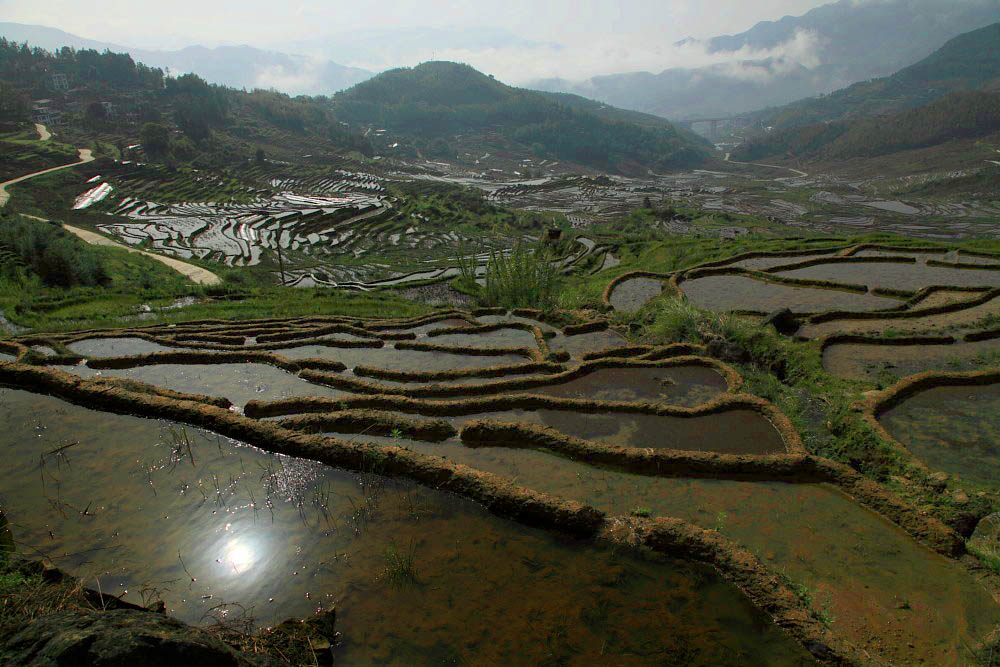 DPP_20341.jpg