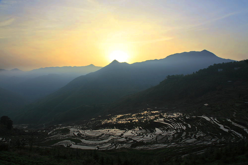 DPP_20391.jpg