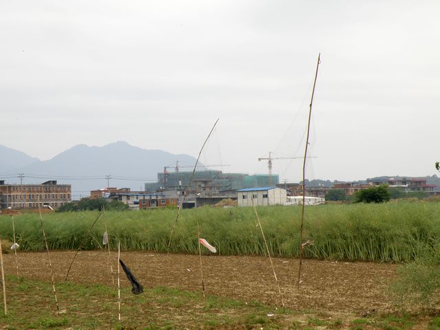 P4254639-1.jpg