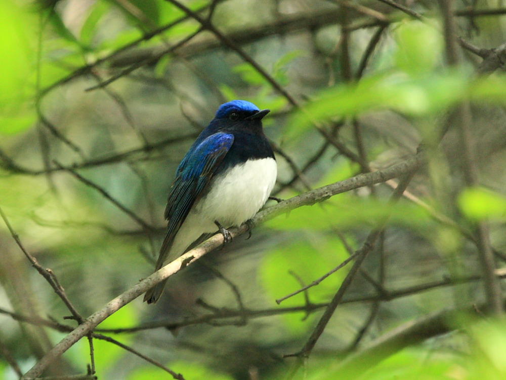 DPP_2127.JPG
