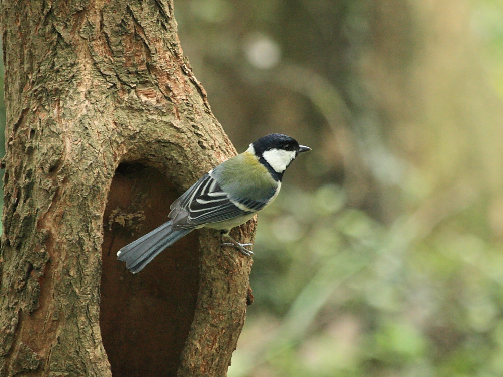 DPP_2144.JPG