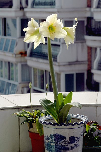 DSC_5398000000.jpg