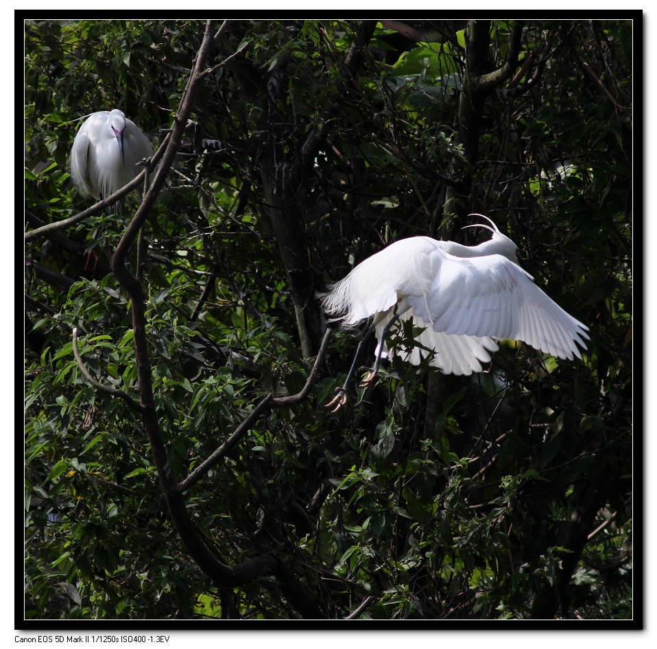 IMG_8831 (32).jpg