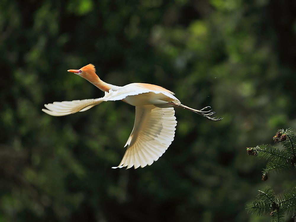 DPP_2418－2.jpg