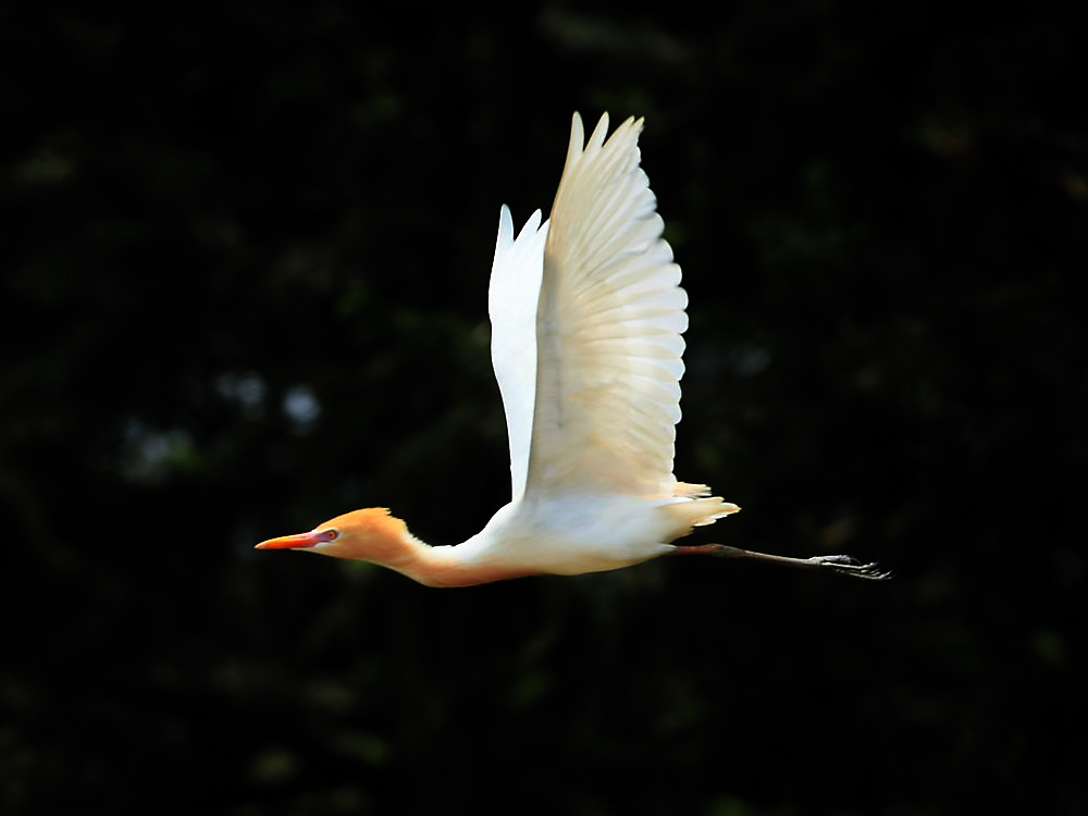 DPP_2439－1.jpg