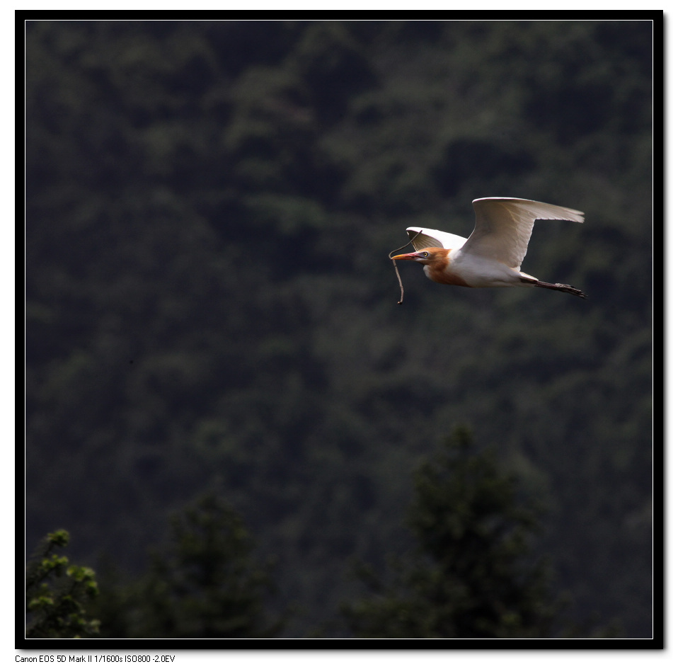 IMG_9021 (63).jpg