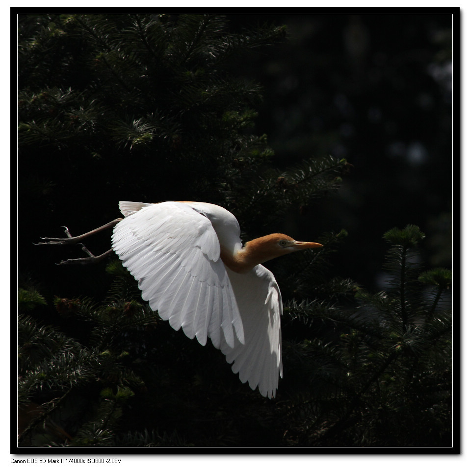 IMG_9005 (53).jpg
