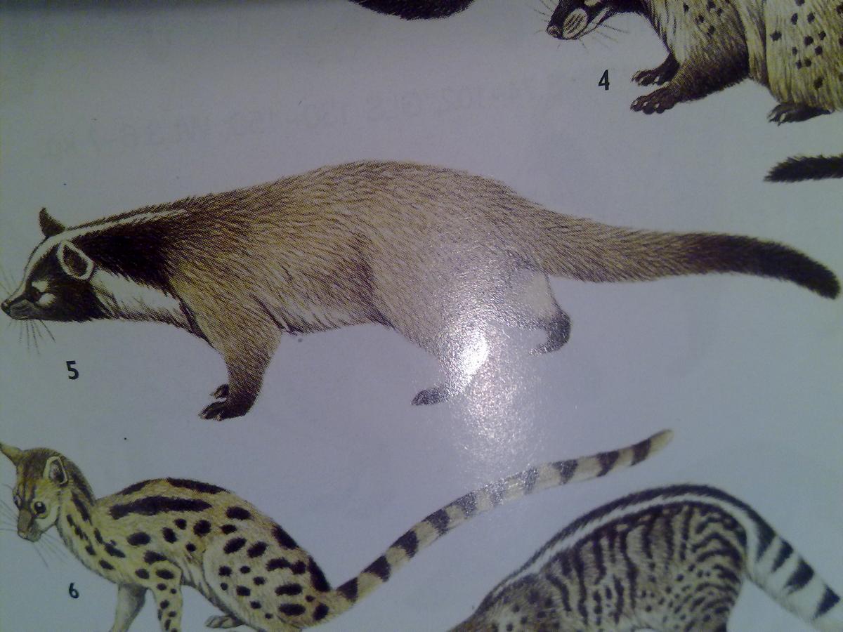 20100509197.jpg