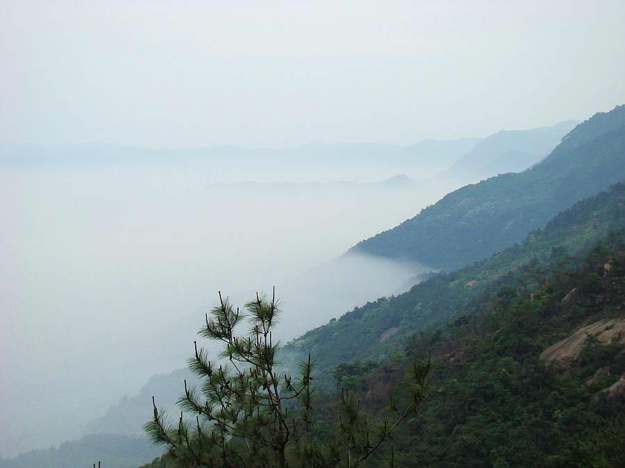 DSC05683.jpg