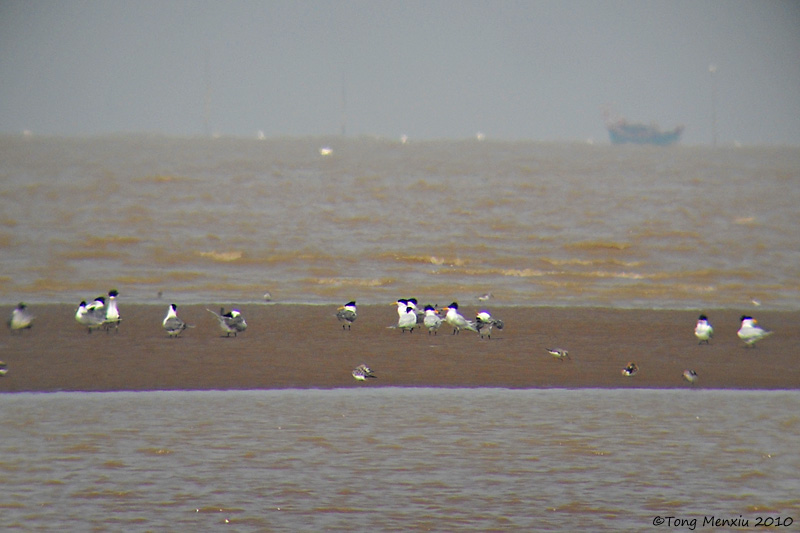 DSCN0267.jpg